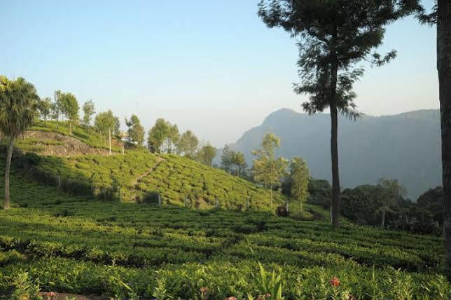 Teanest By Nature Resorts And Stays Coonoor Buitenkant foto